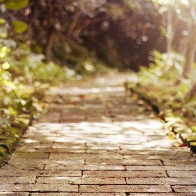 ku娱乐官网登录手机app下载